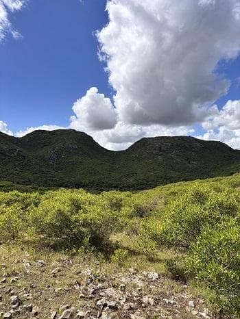 landbanking project card